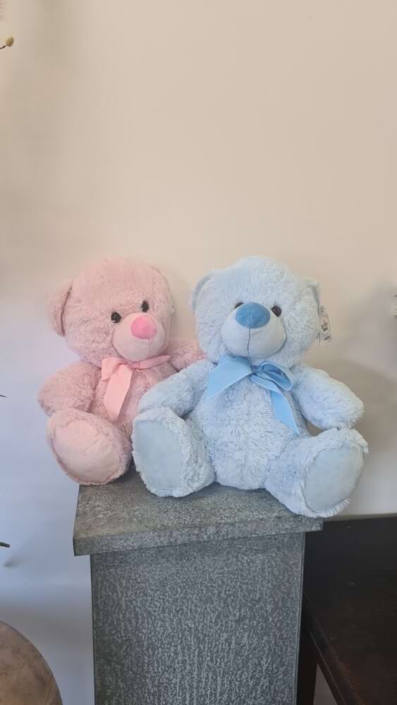 Large Teddy Pink