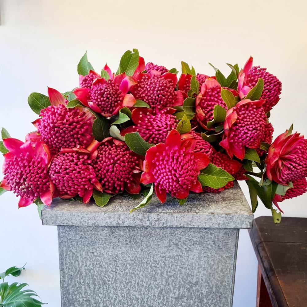 Waratah seasonal bouquet
