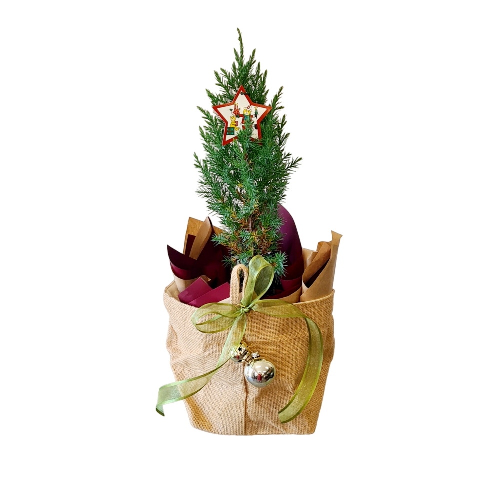 Christmas tree 